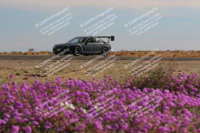 media/Jan-08-2023-SCCA SD (Sun) [[8f6a5b9391]]/Intermediate Group/Session 2 (Short Straight)/